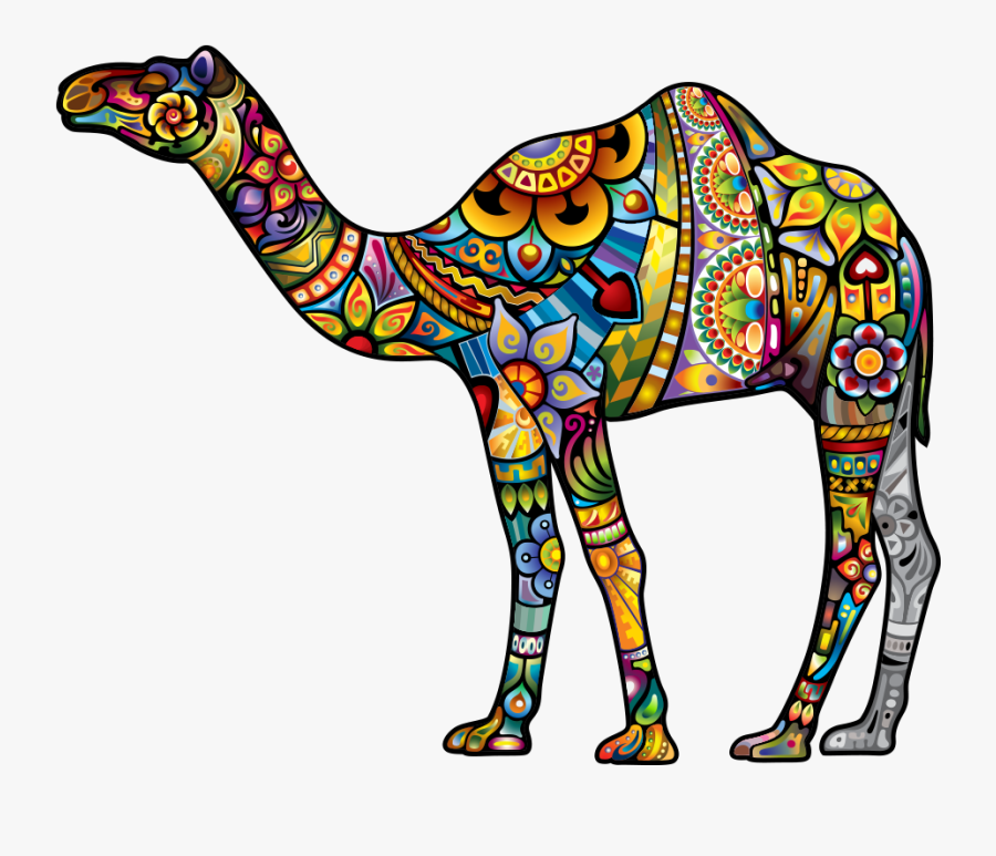 Camel T Shirt Womens, Transparent Clipart