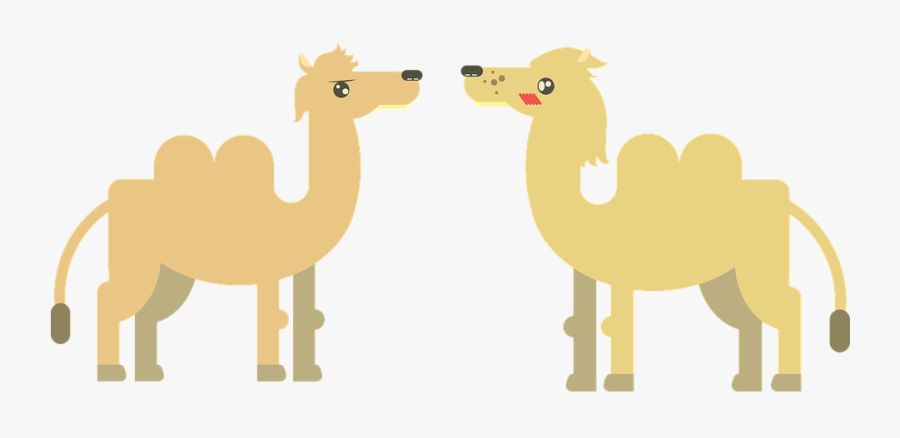Transparent Camel Clipart Png - Camel, Transparent Clipart