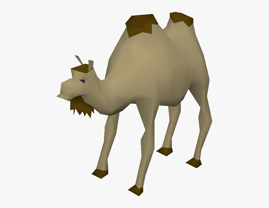 Clip Art Al The Old School - Al The Camel, Transparent Clipart