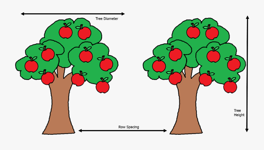 Uk Diseases Of Fruit - Apples On A Tree Clipart, Transparent Clipart