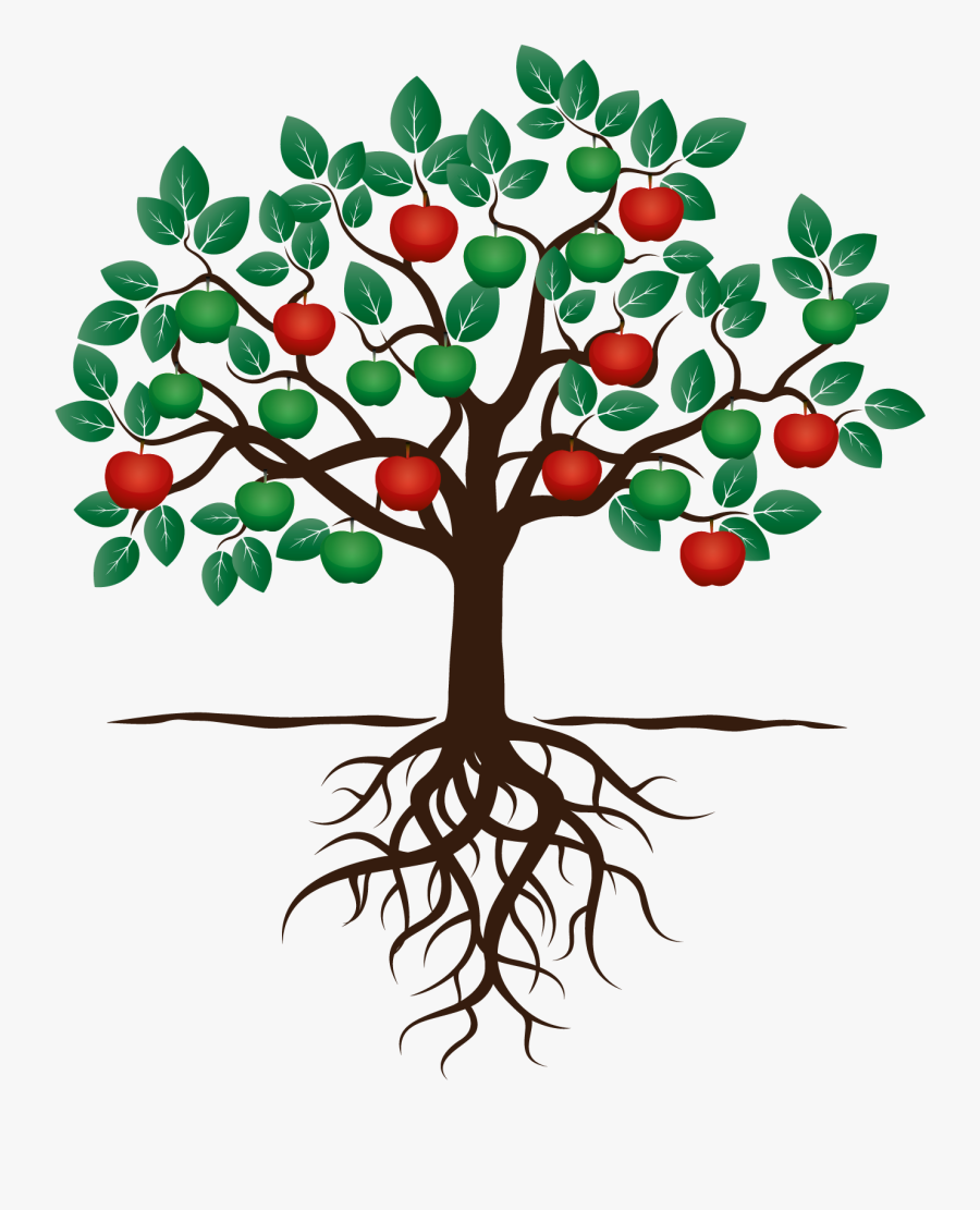 Apple Clipart Tree - Apple Tree With Roots, Transparent Clipart