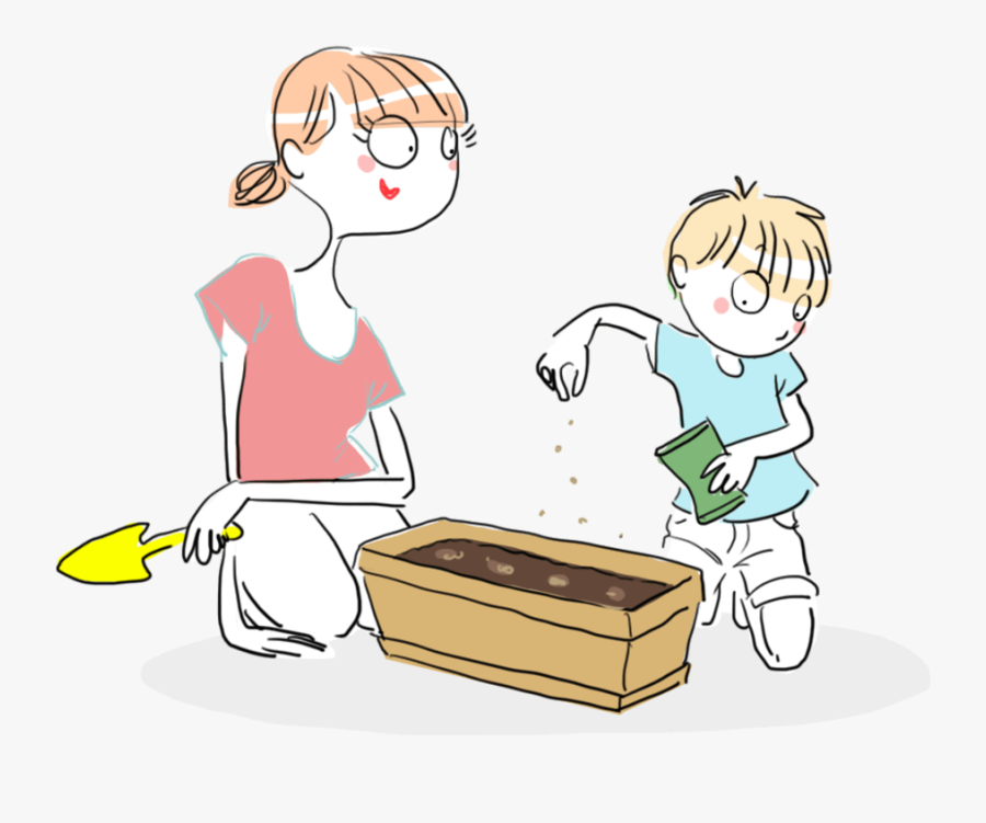 How To Grow Grain - مراحل الزراعة للاطفال, Transparent Clipart