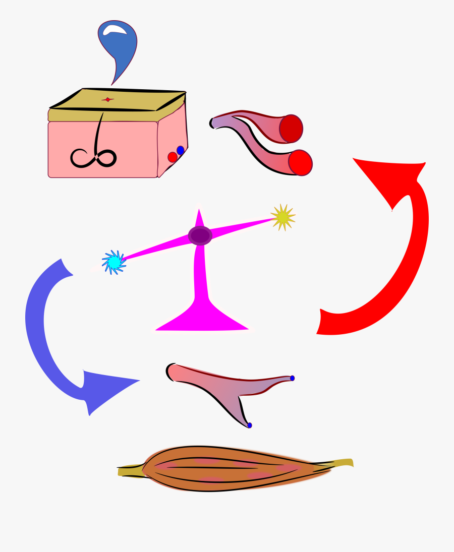 Scale Clipart Homeostasis - Homeostasis Clipart, Transparent Clipart