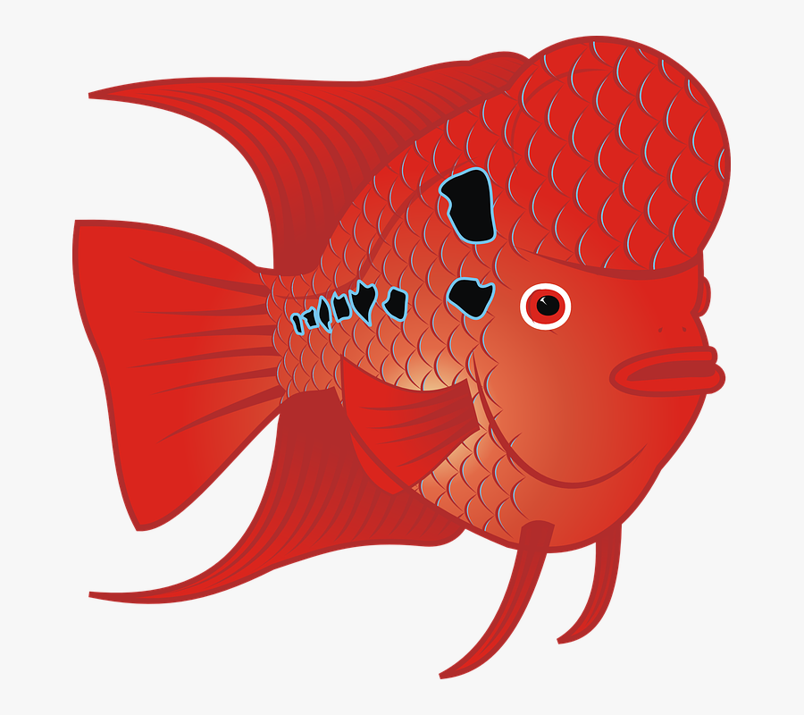 1 Fish Scale Clipart - Flowerhorn Clip Art, Transparent Clipart