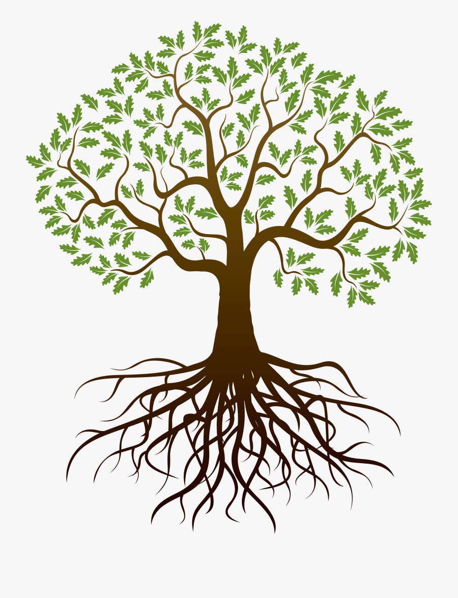 Old Drawing Apple Tree - Family Tree With Roots, Transparent Clipart