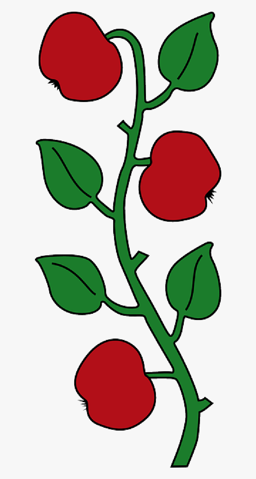 Fruit Tree Cartoon - Affoltern Am Albis, Transparent Clipart