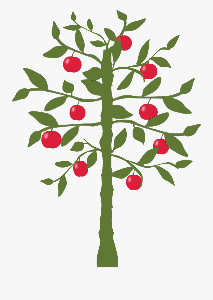 Apple Tree Silhouette - World's Fastest Indian Lemon Tree, Transparent Clipart