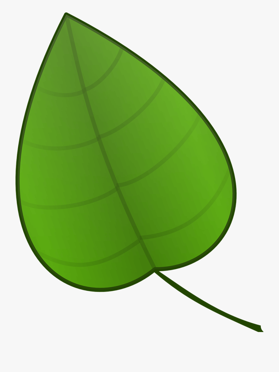 Leaf Clip Art, Transparent Clipart