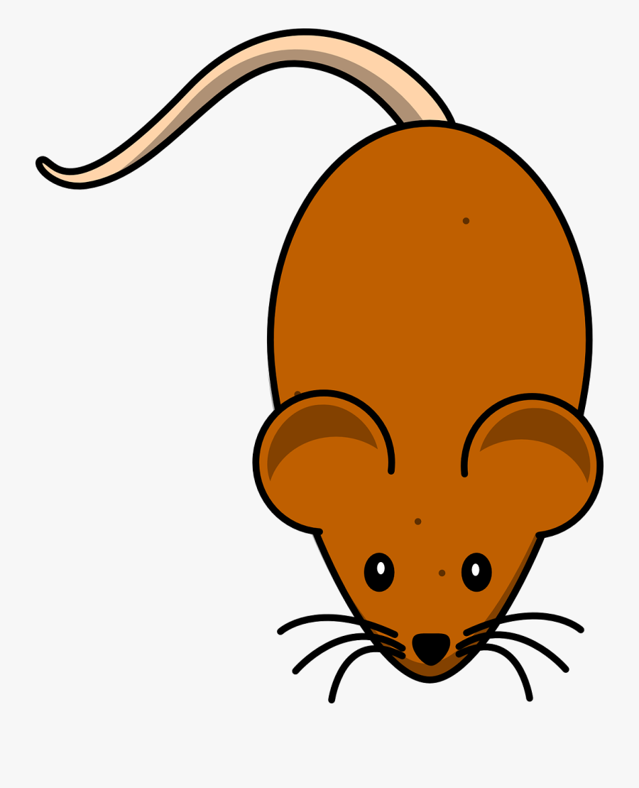 Mouse Brown Free Vector - Mouse Clipart, Transparent Clipart