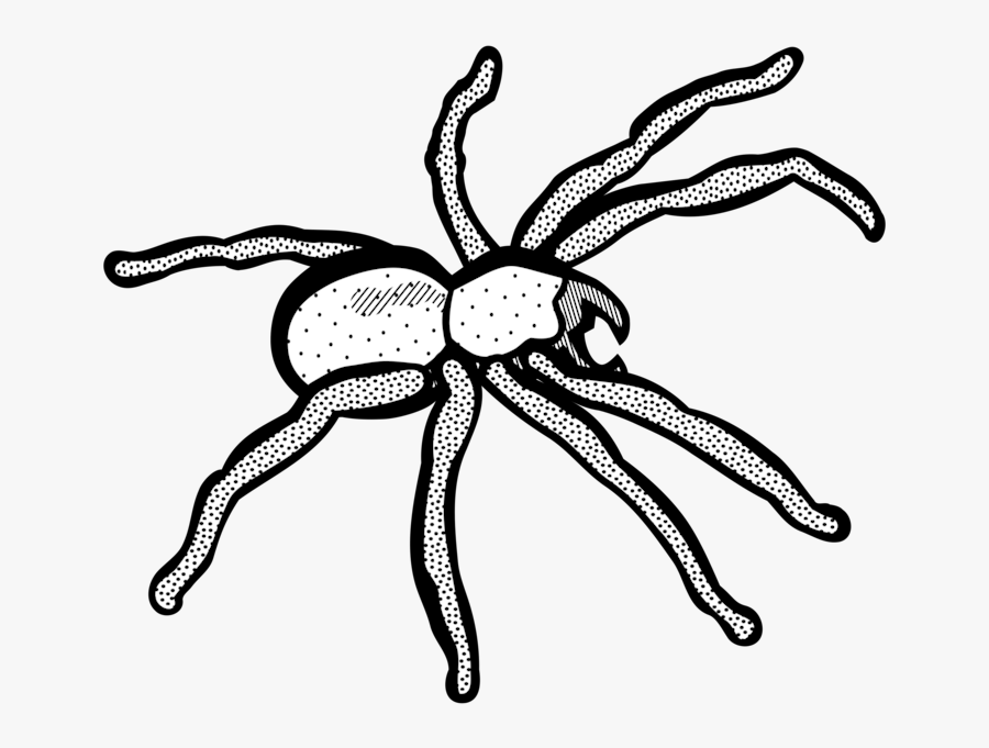 Line Art,artwork,pollinator - Small Spider Clip Art, Transparent Clipart