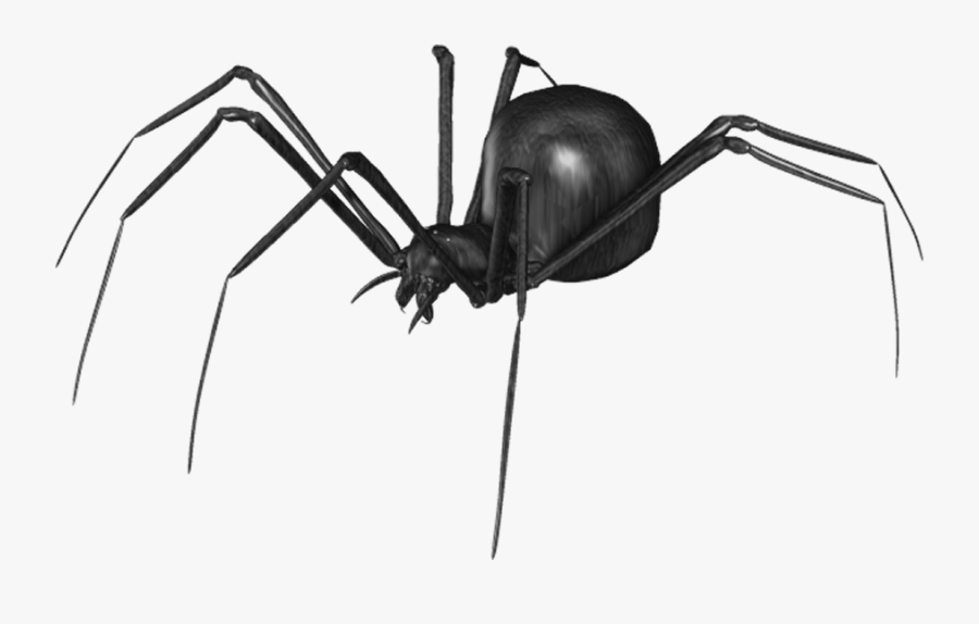 Spider Png Clip Art - Spider Gif Transparent Background, Transparent Clipart