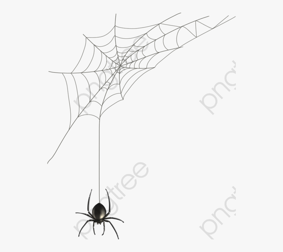 Transparent Spider Web Clip Art - White Spider Web Background, Transparent Clipart