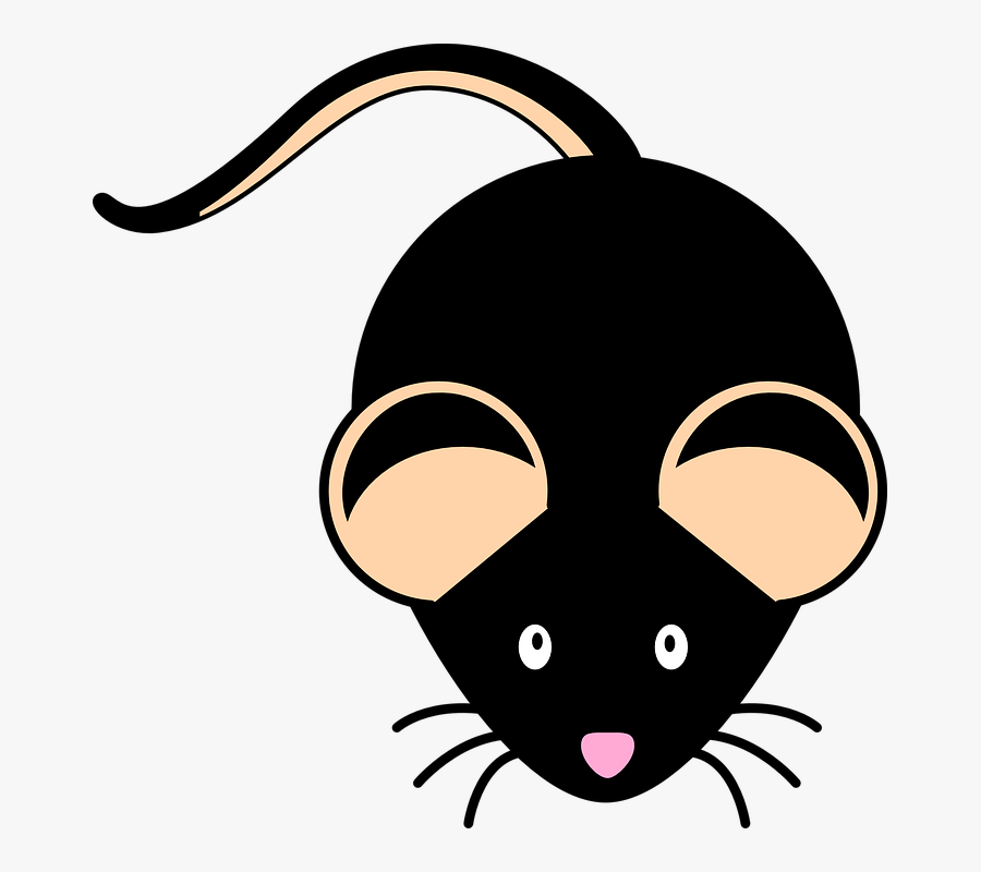 Cute Clipart Mouse, Transparent Clipart