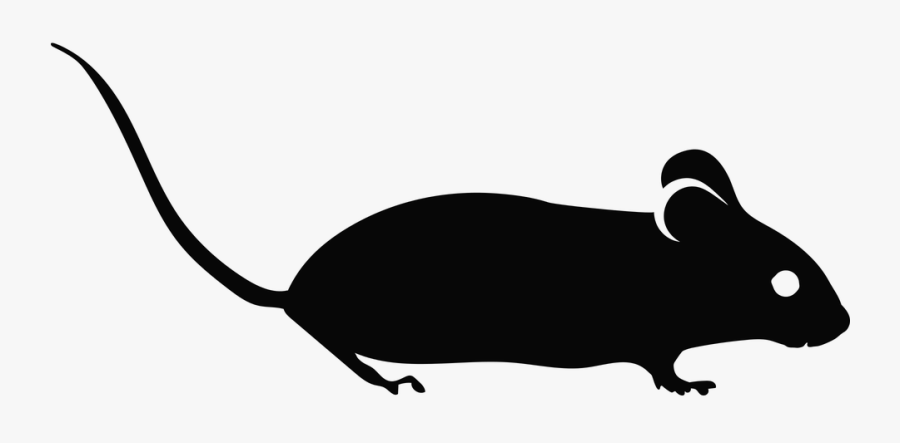 Mouse Clipart Orange - Mice Icon, Transparent Clipart