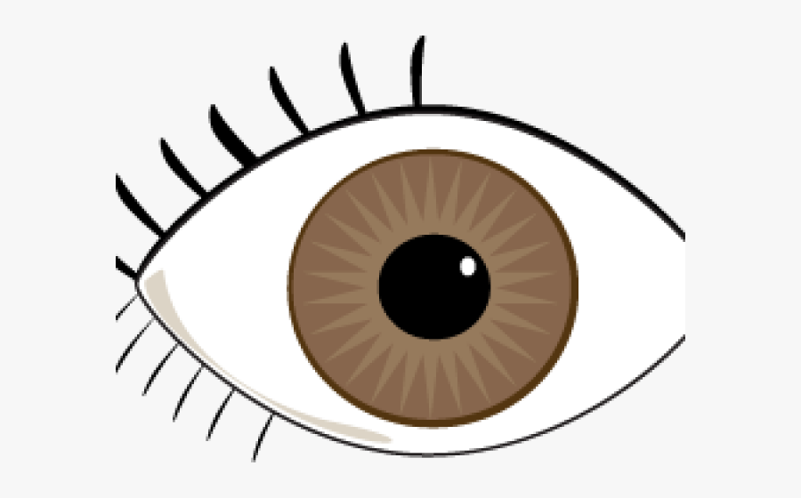 Brown Eye Clipart, Transparent Clipart