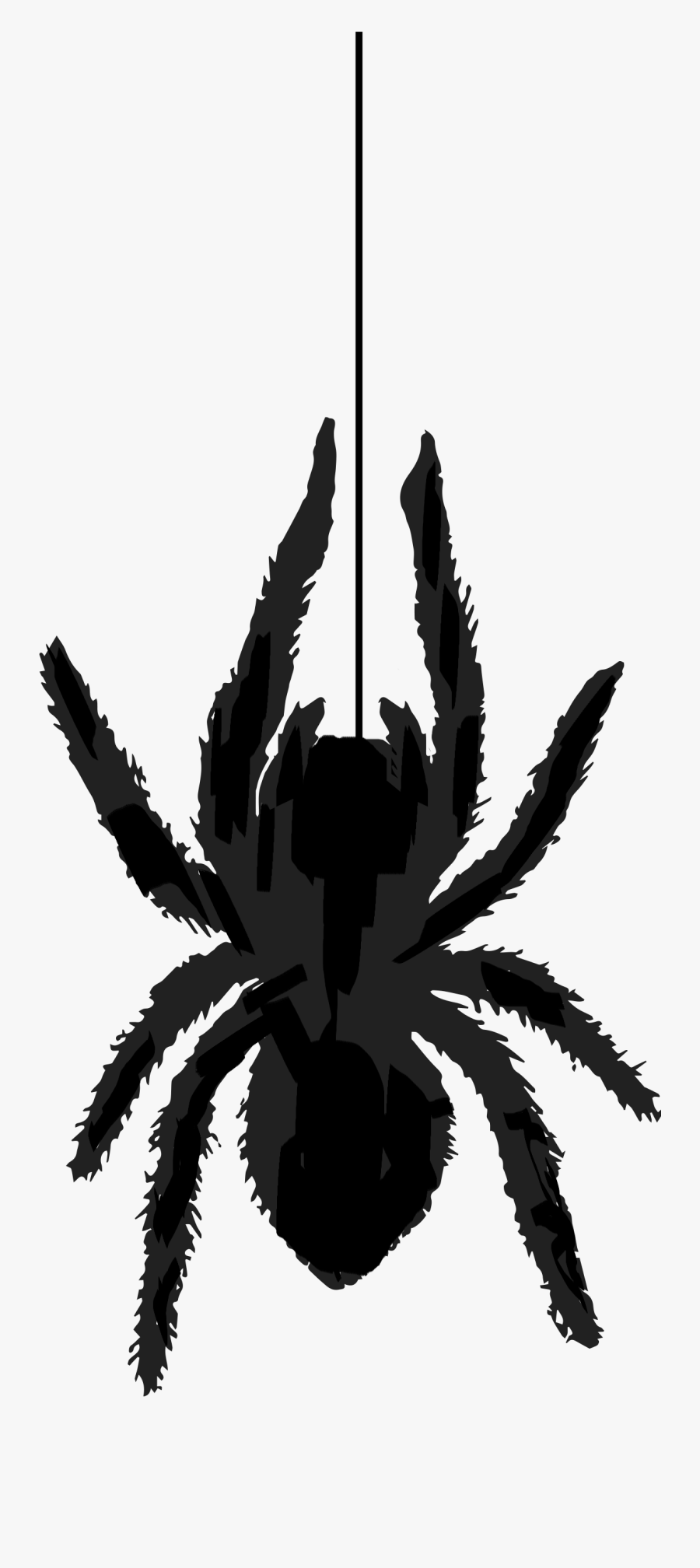 Transparent Tarantula Clipart, Transparent Clipart