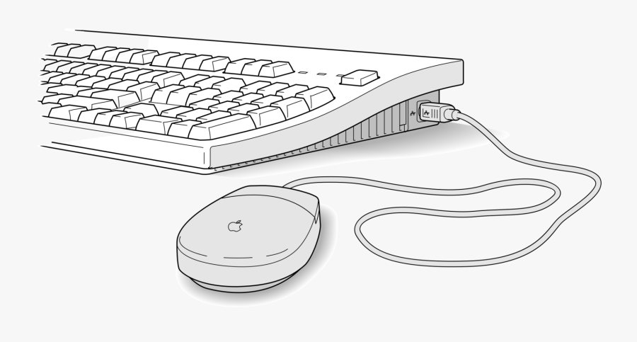 Transparent Mouse Clipart Png - Computer Mouse And Keyboard Clip Art, Transparent Clipart