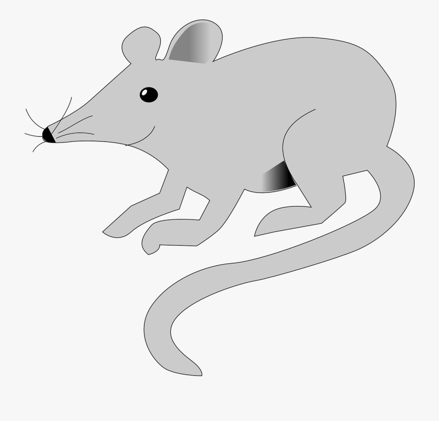 Mouse, Transparent Clipart