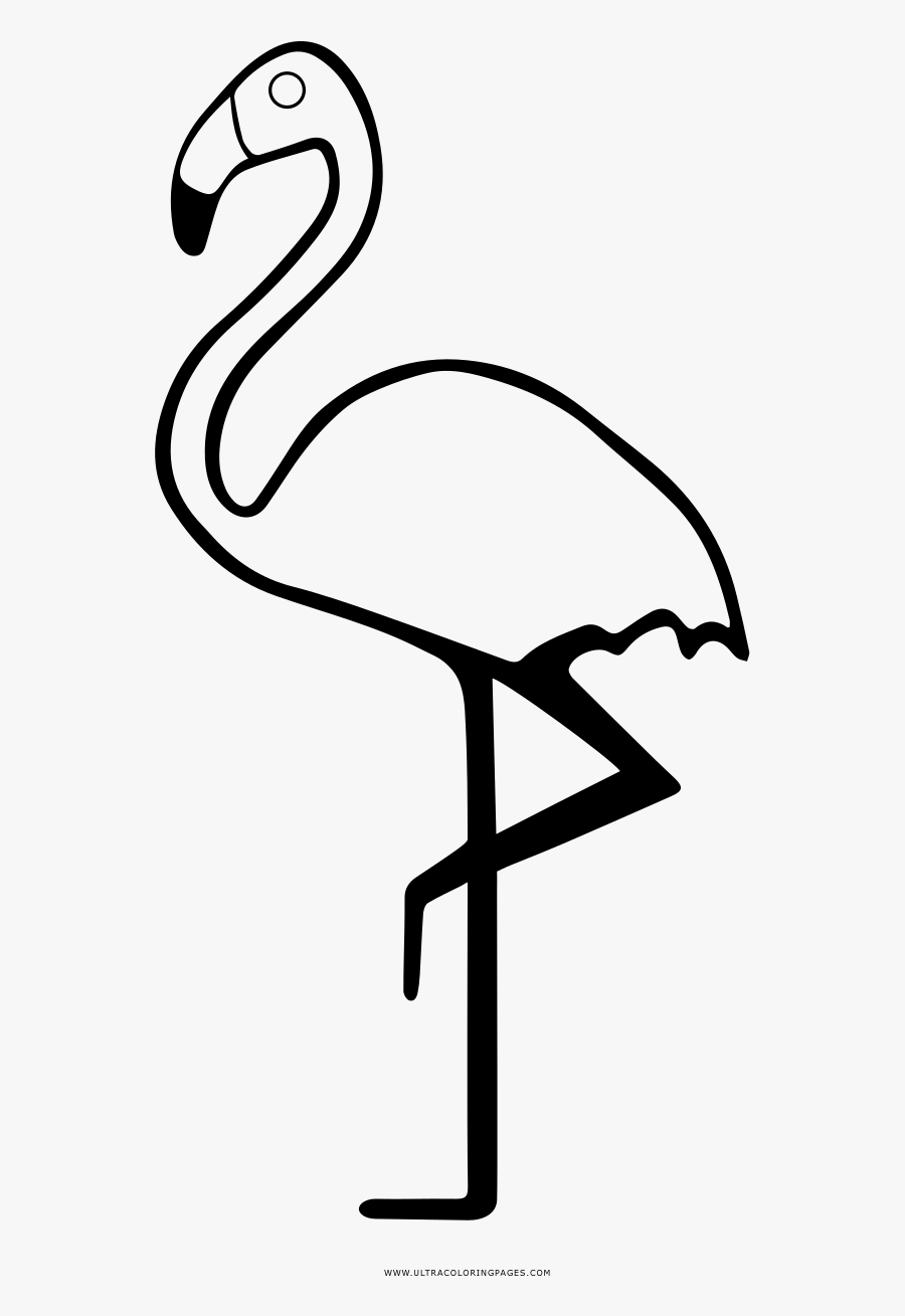 Flamingo Coloring Page - Greater Flamingo, Transparent Clipart