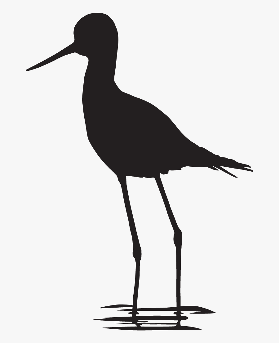 Black Necked Stilt Silhouette, Transparent Clipart