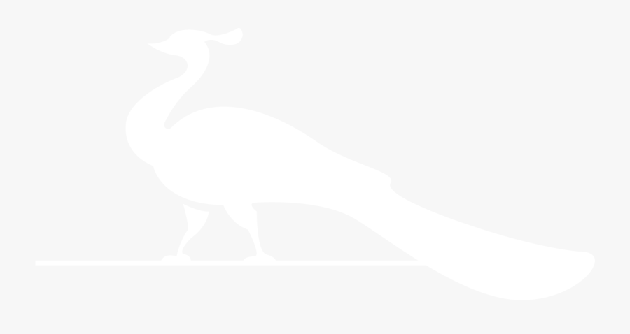 Peacocklife - Illustration, Transparent Clipart