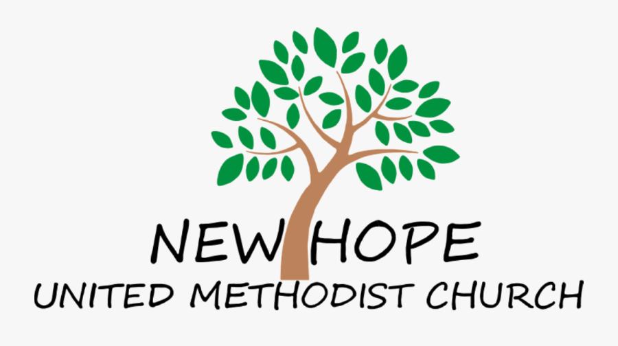 New Hope United Methodist Church - شجرة فيها 12 غصن, Transparent Clipart