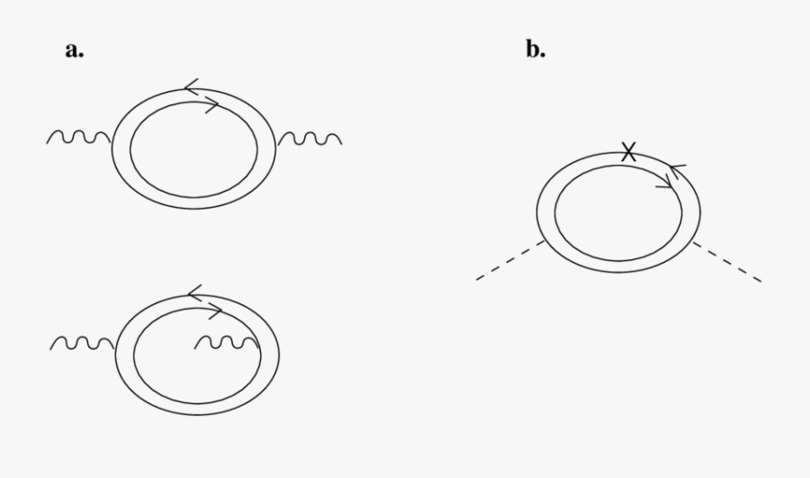 A One-loop Diagram, Drawn In Double Line Notation, - Circle, Transparent Clipart