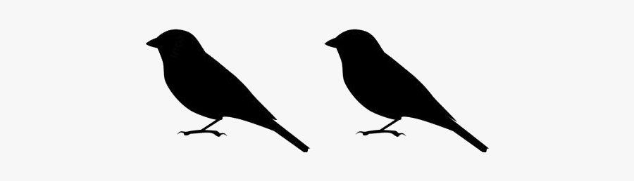 Transparent Sparrows Clip Art - Fish Crow, Transparent Clipart