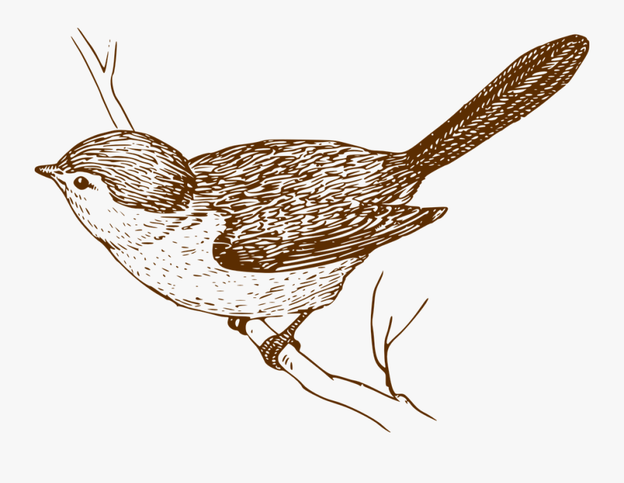 House Sparrow Bird Clip Art - Friend Is More Precious Than Gold, Transparent Clipart