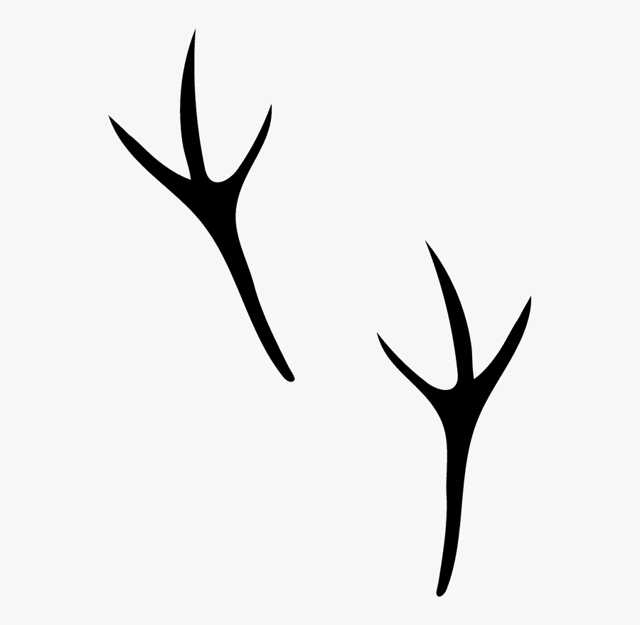 Sparrow Track, Transparent Clipart