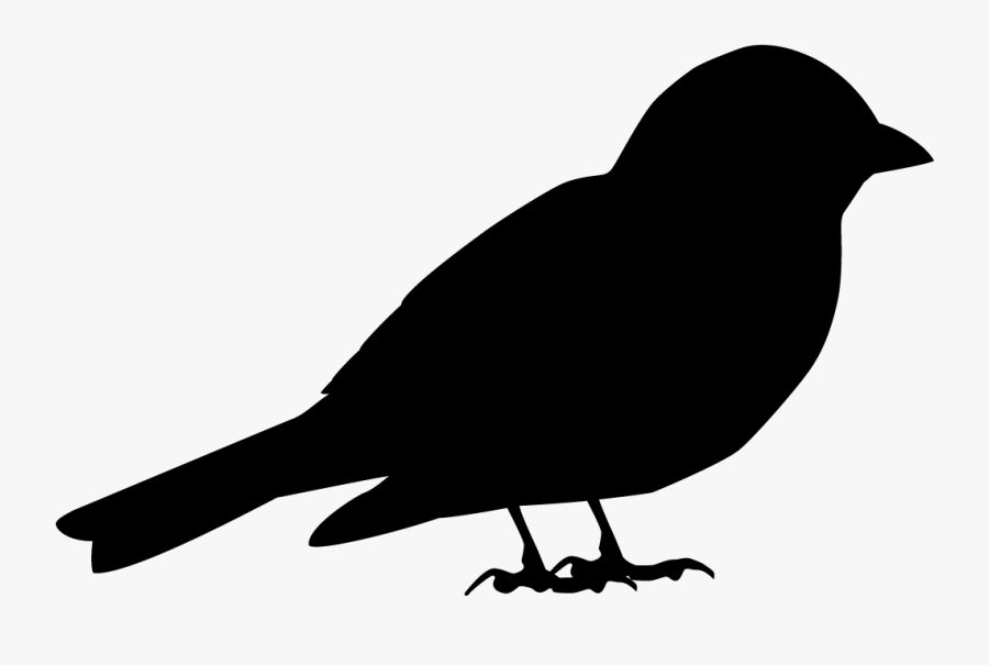 House Sparrow Bird American Crow Song Sparrow - Black Sparrow Logo Png, Transparent Clipart