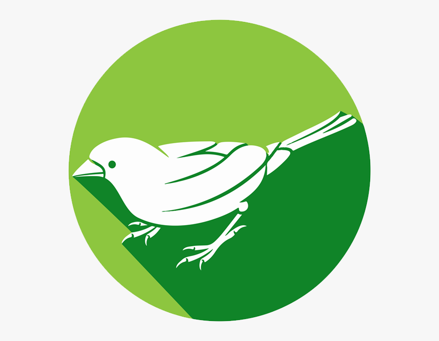 Sparrow Program - Green Sparrow Logo, Transparent Clipart