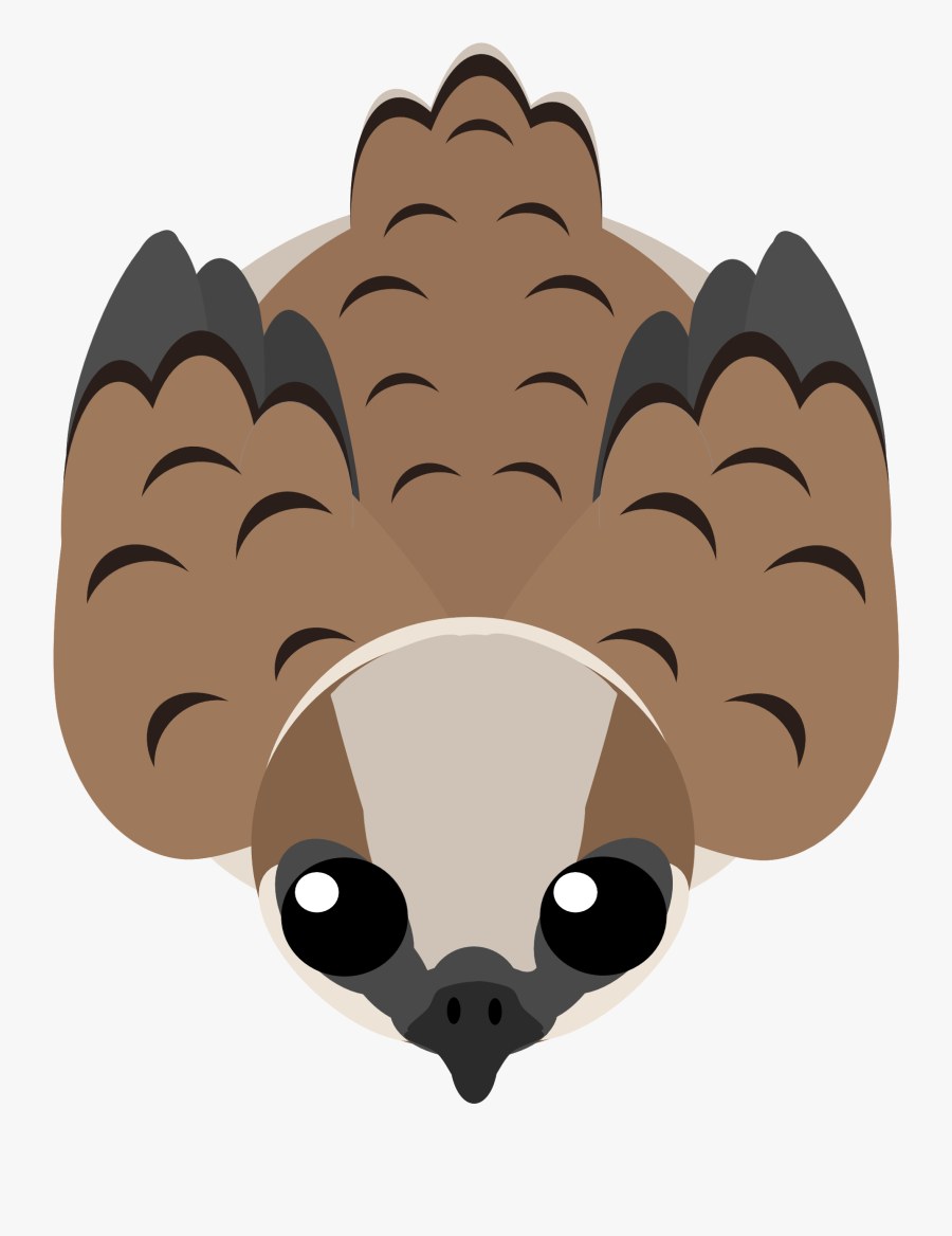 Illustration, Transparent Clipart