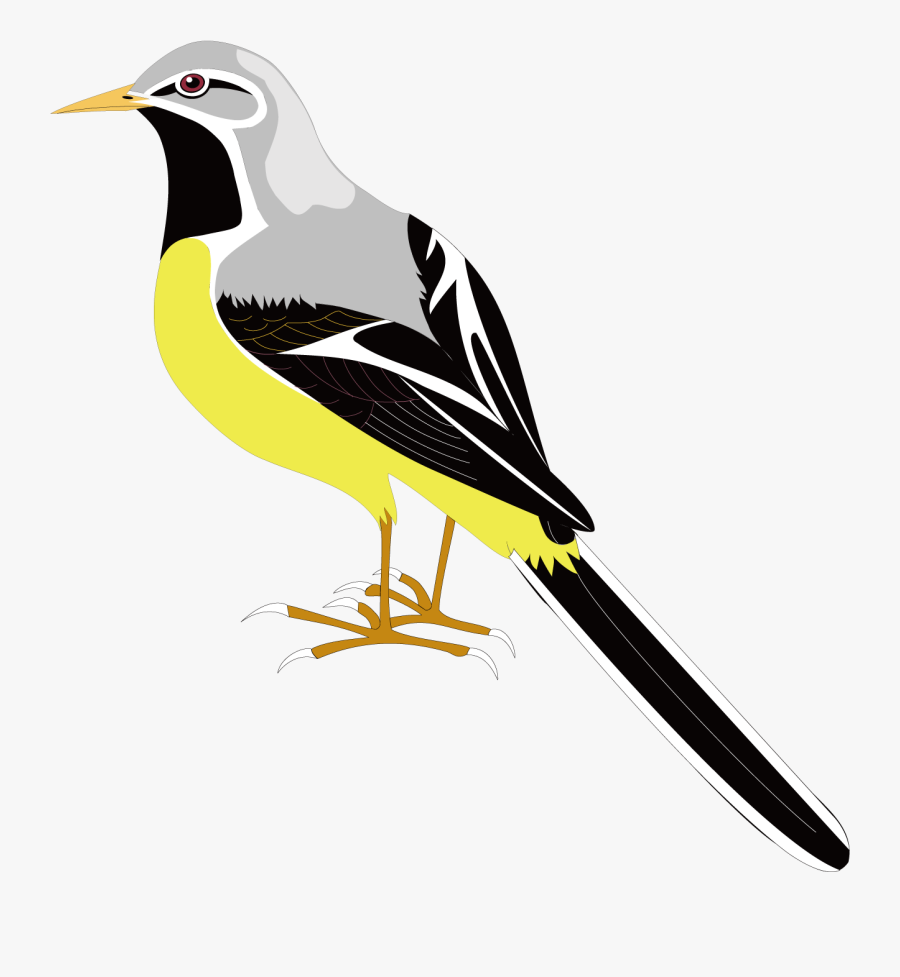 Songbird Clipart Mockingbird - Portable Network Graphics, Transparent Clipart