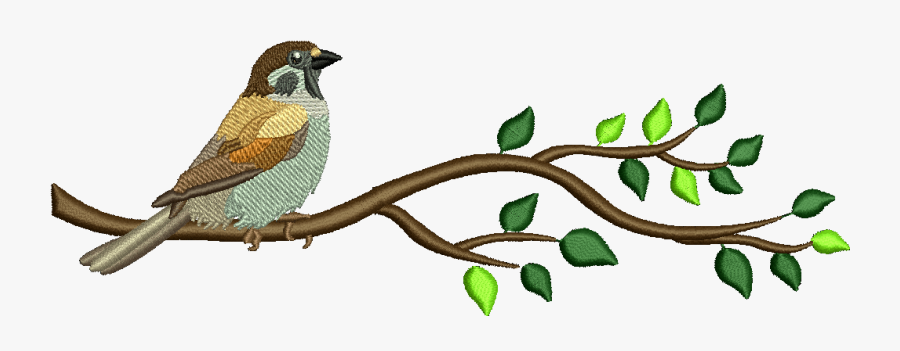 Finch, Transparent Clipart