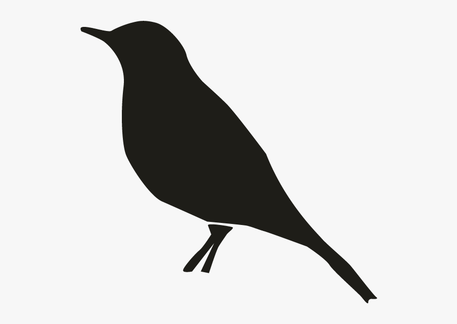 Starling Silhouette, Transparent Clipart