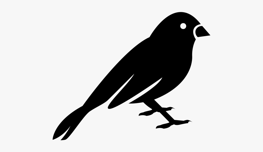 "
 Class="lazyload Lazyload Mirage Cloudzoom Featured - Canary Stencil, Transparent Clipart