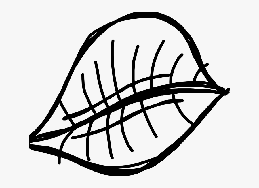 Line Art, Transparent Clipart