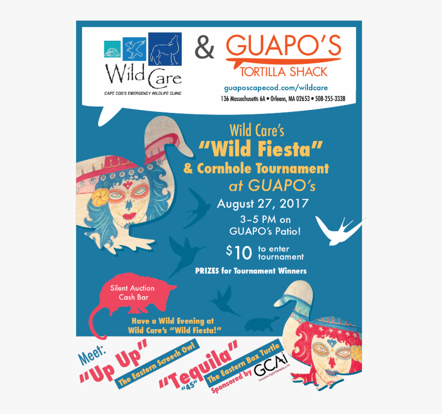 Poster, Transparent Clipart