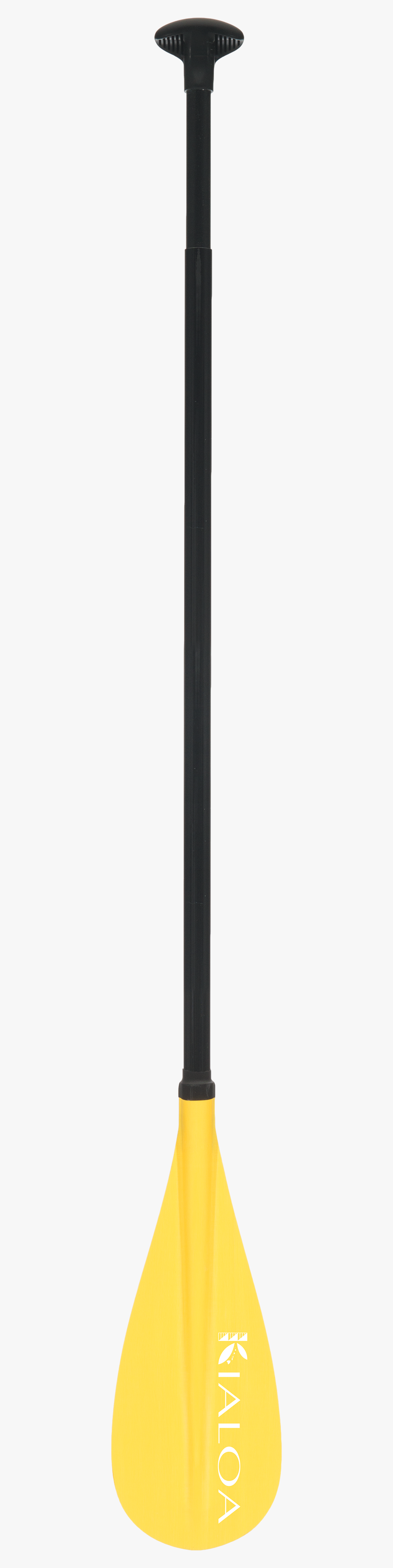 Musical Instrument, Transparent Clipart