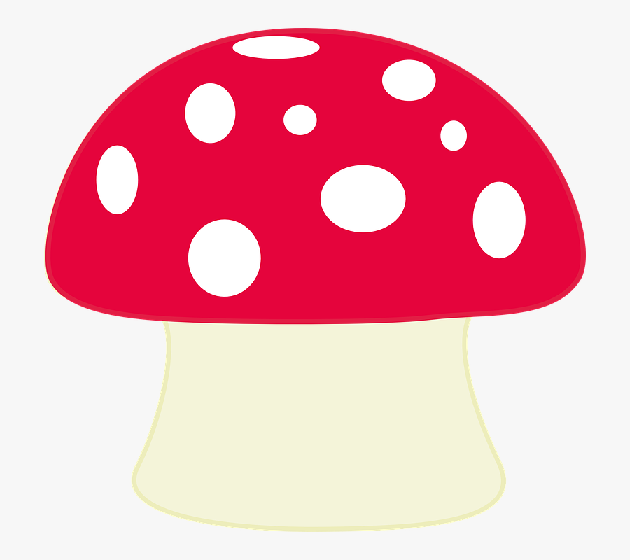 Mushroom Clipart Woodland Mushroom เห็ด ภาพ วาด การ์ตูน , Free