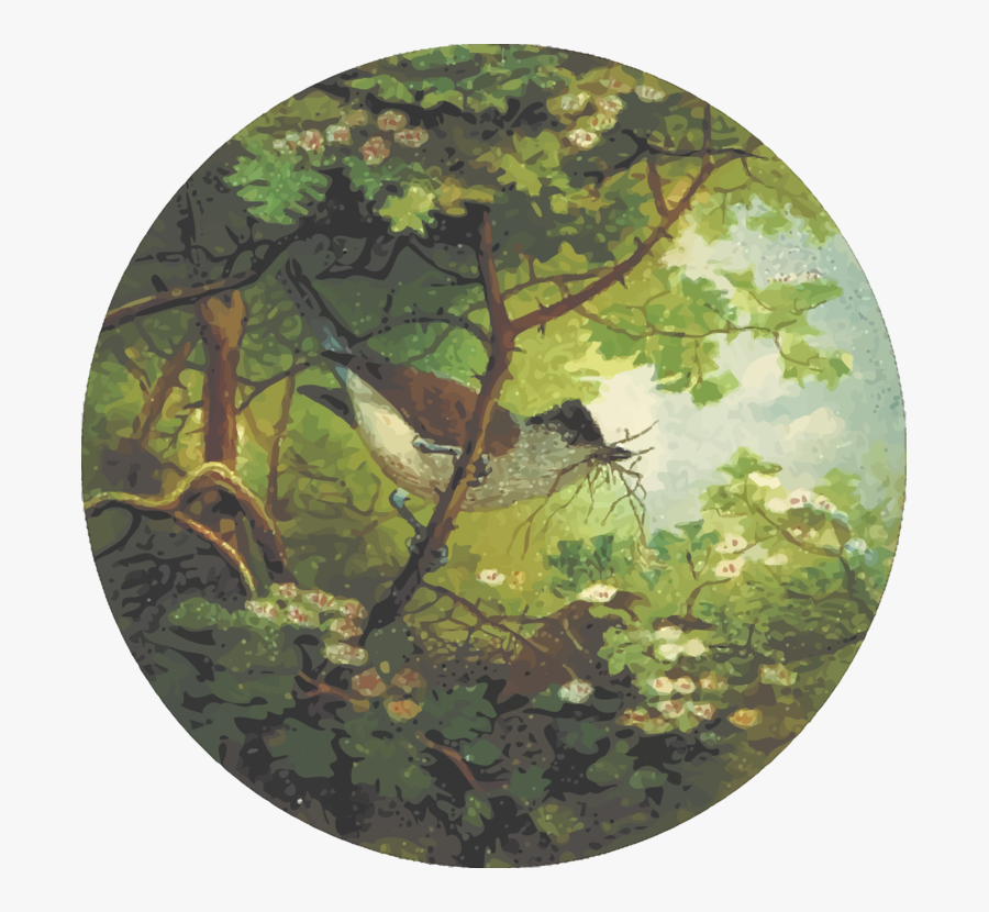 Flora,tree,woodland - Clip Art, Transparent Clipart