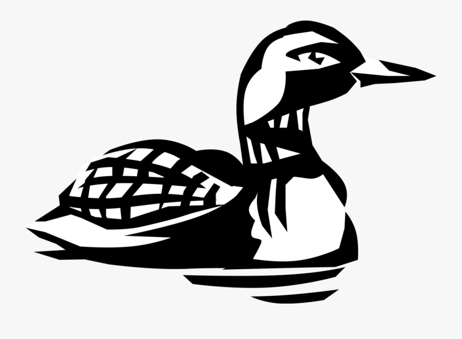 Vector Illustration Of North American Aquatic Diving - Loon Vector, Transparent Clipart