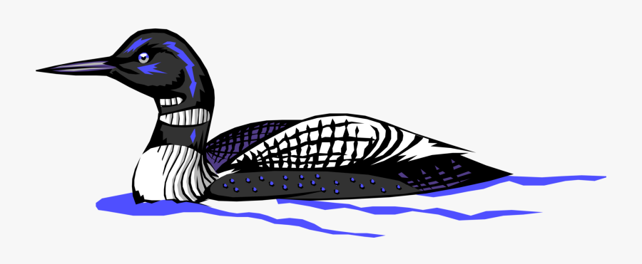 North America Bird Image Illustration Of American - Clip Art Loon, Transparent Clipart