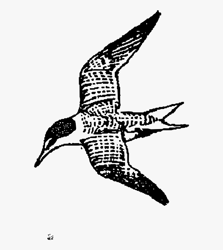 Lestern - Drawing, Transparent Clipart