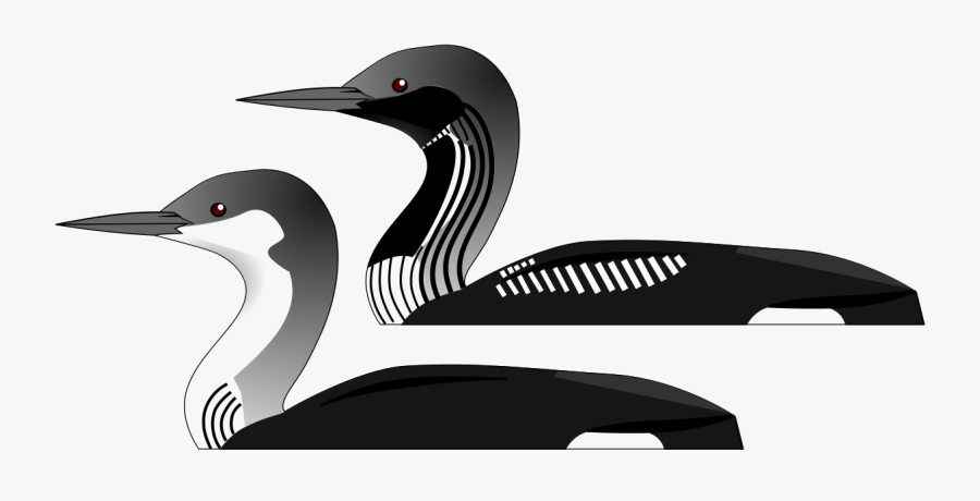 Storlom Fågel, Transparent Clipart