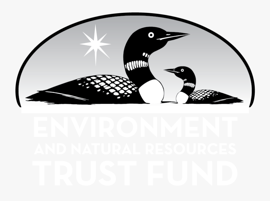 Environment And Natural Resources Trust Fund - Enrtf Logo, Transparent Clipart