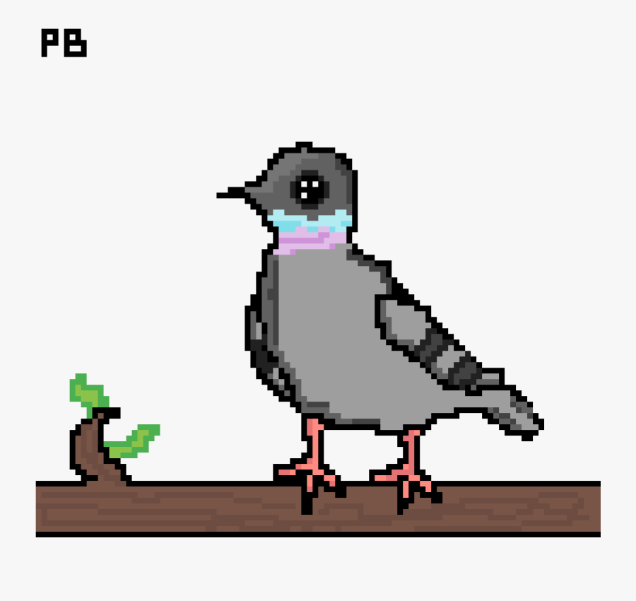 Loon, Transparent Clipart