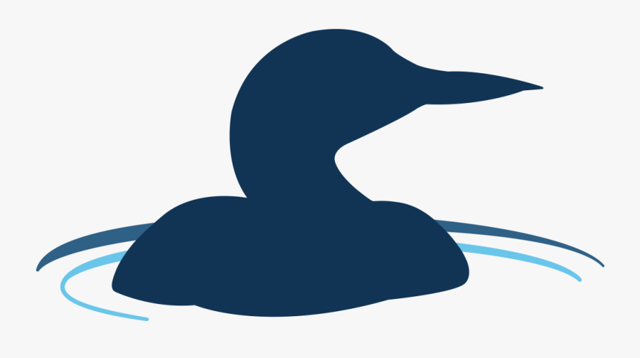 Duck, Transparent Clipart