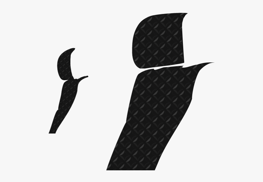 Loon, Transparent Clipart